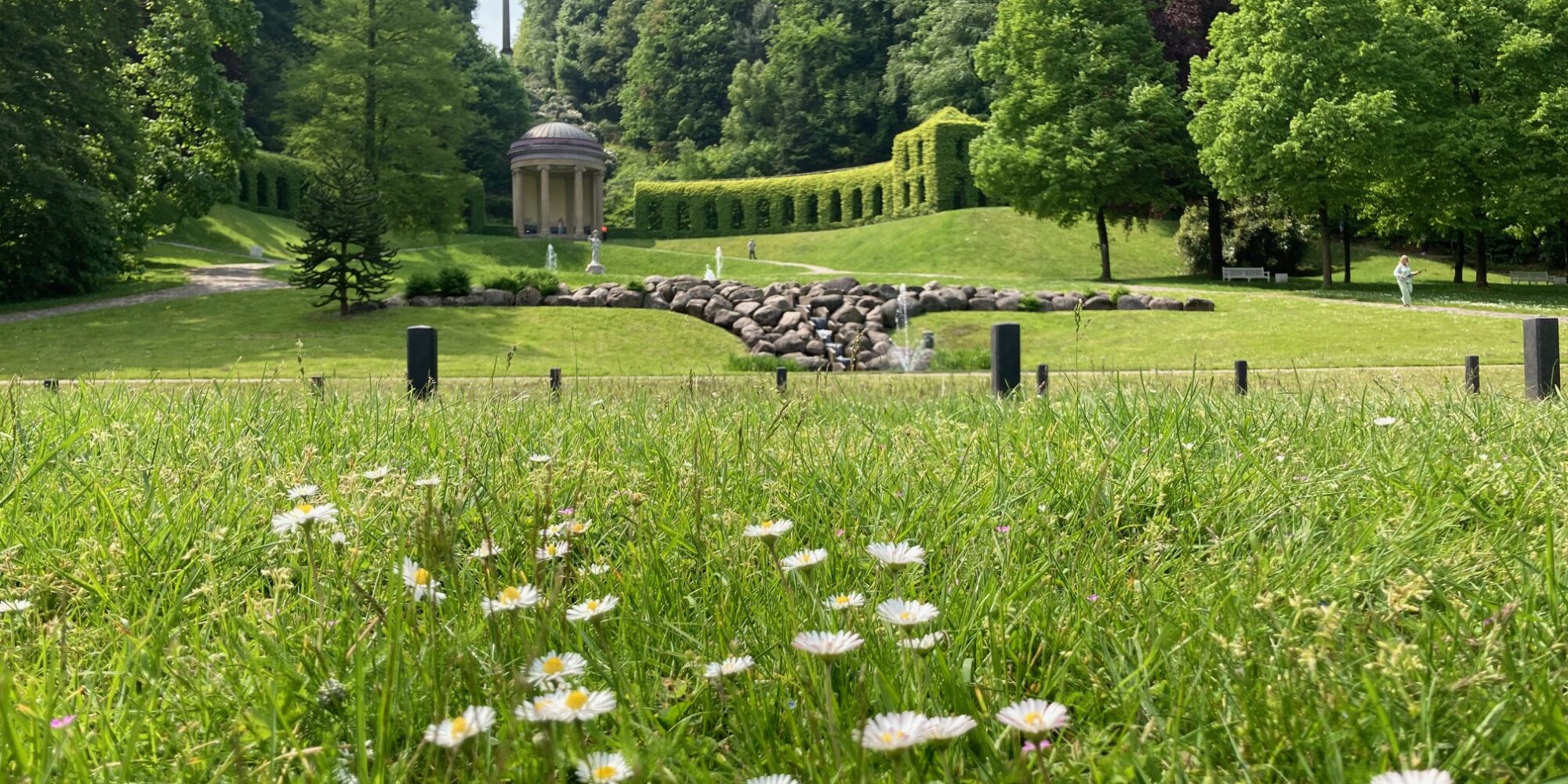 Blick auf eine grüne Parklandschaft mit Wiese, auf der Gänseblümchen blühen. Im Hintergrund sind Bäume, ein Pavillon und ein Steingarten sichtbar.