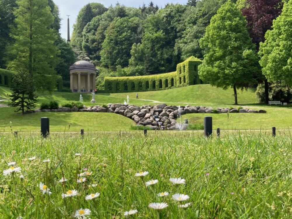 Blick auf eine grüne Parklandschaft mit Wiese, auf der Gänseblümchen blühen. Im Hintergrund sind Bäume, ein Pavillon und ein Steingarten sichtbar.
