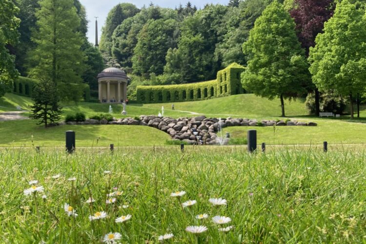 Blick auf eine grüne Parklandschaft mit Wiese, auf der Gänseblümchen blühen. Im Hintergrund sind Bäume, ein Pavillon und ein Steingarten sichtbar.