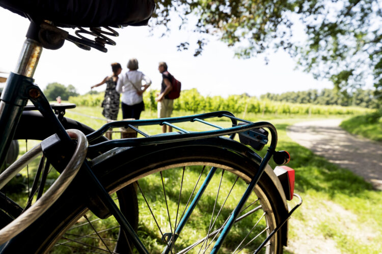 Radtour entlang der Via Romana. Fahrrad an der Wiese, Fahrradfahrer schauen sich um