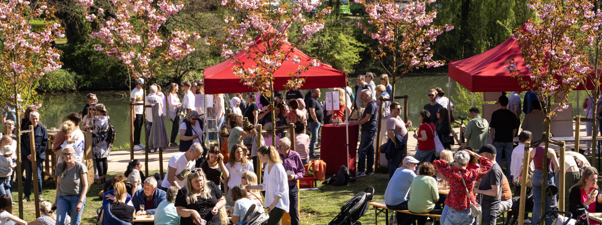 Menschen picknicken auf einer Wiese unter Kirschblütenbäumen