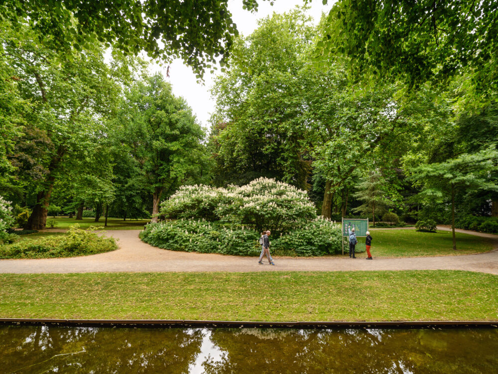 Forstgarten mit grünen Bäumen und Sträuchern, drei Personen auf einem Weg, Spiegelung im Wasser, sichtbare Textzeile: 'kleingedrucktes, nicht zur Verwendung gedacht'.