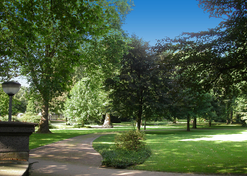 Weg im Forstgarten mit grünen Bäumen, Rasenflächen und einem Laternenpfahl links im Bild unter blauem Himmel.