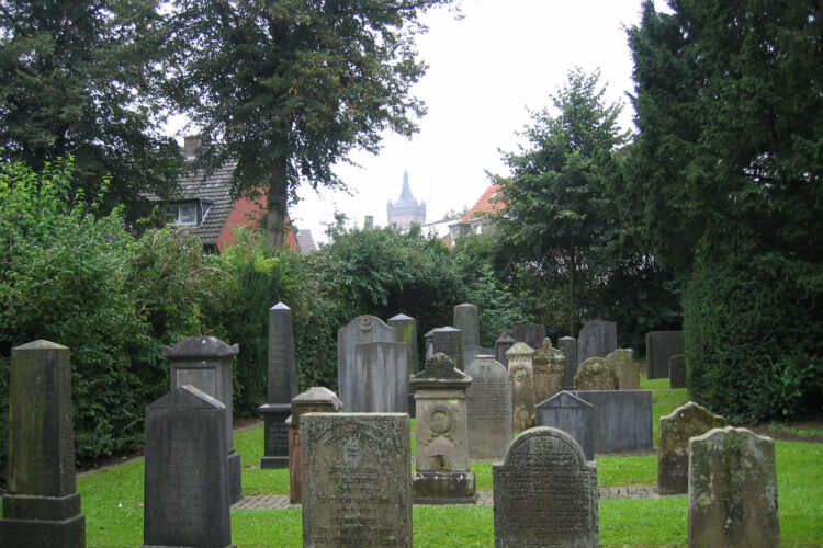 Jüdischer Friedhof mit Rasen als Untergrund und mit Schwanenburg im Hintergrund