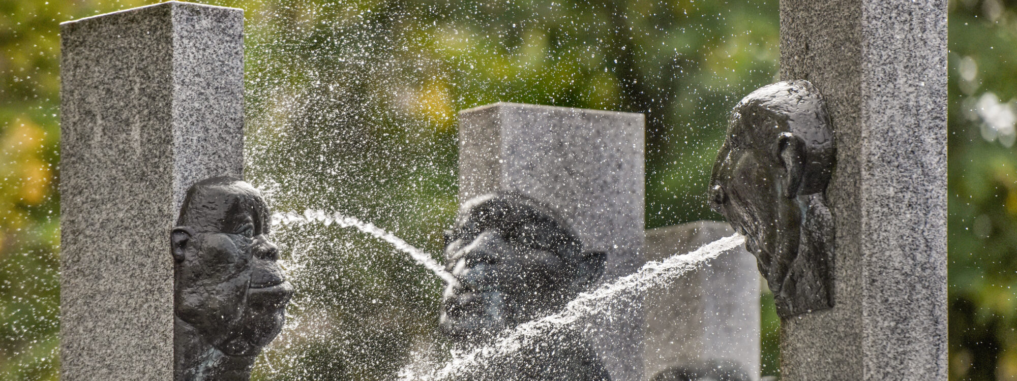 Wasserspeiende Köpfe an Steinsäulen sind die Markenzeichen des Narrenbrunnens