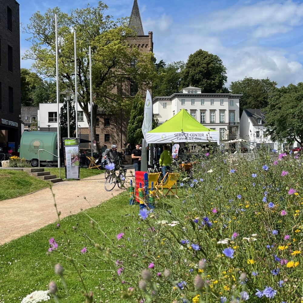 Blühende Wiese mit Fahrradfahrern im Hintegrund