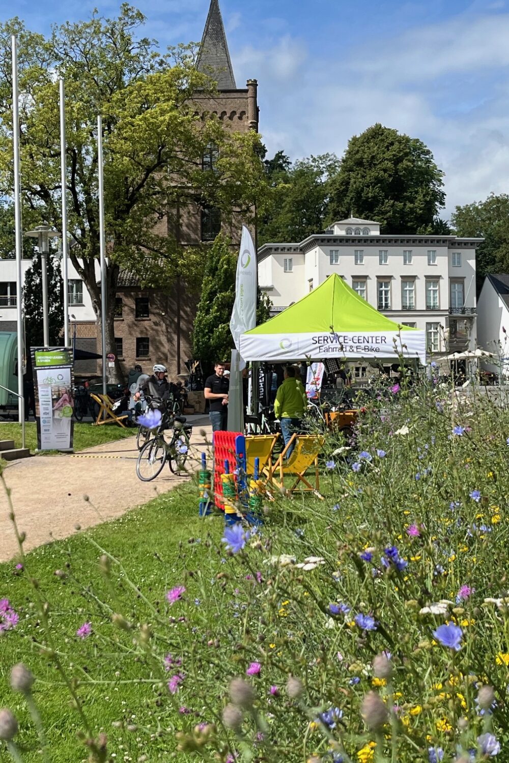 Blühende Wiese mit Fahrradfahrern im Hintegrund