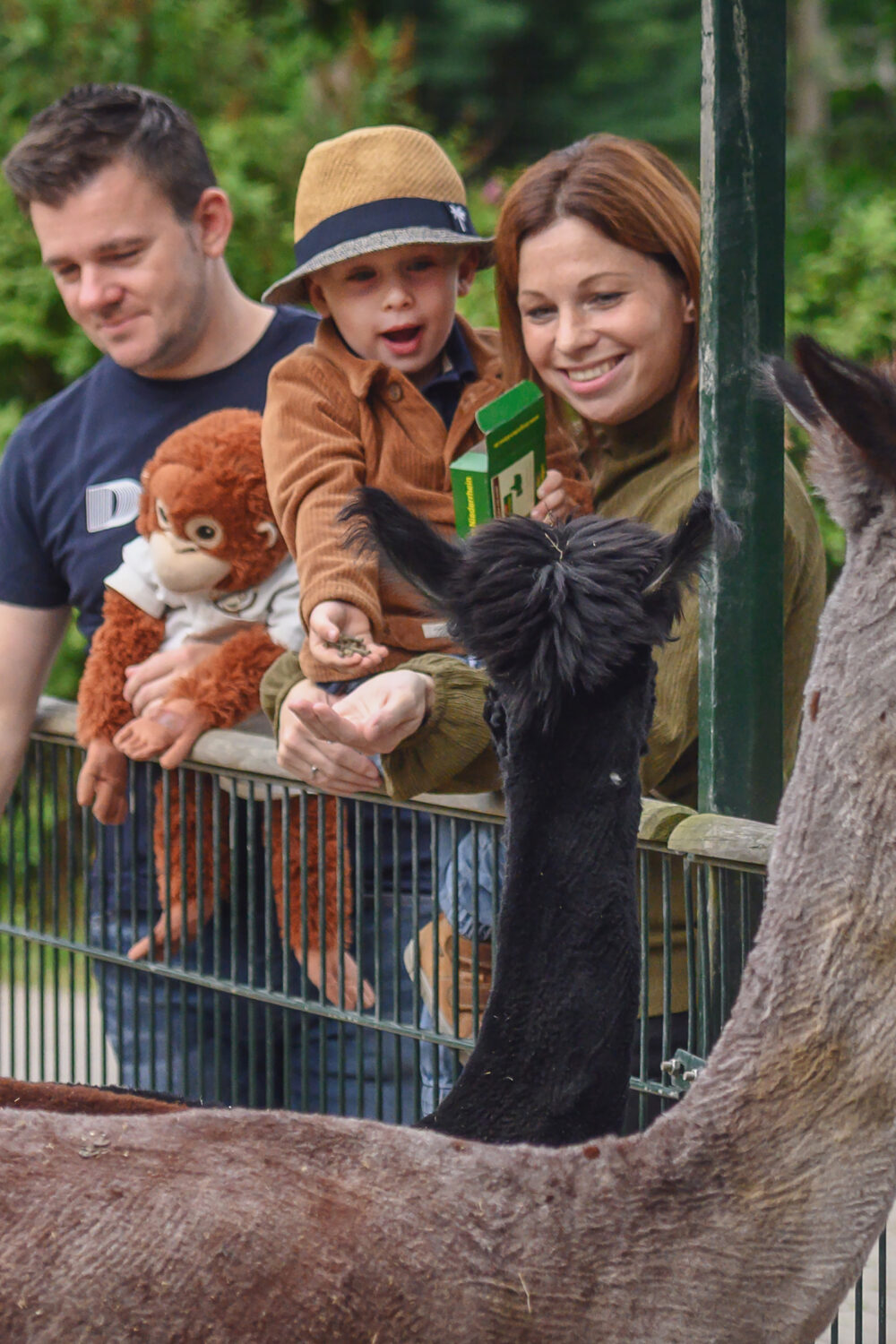 zwei Erwachsene und ein Kind füttern Tiere im Tiergarten Kleve