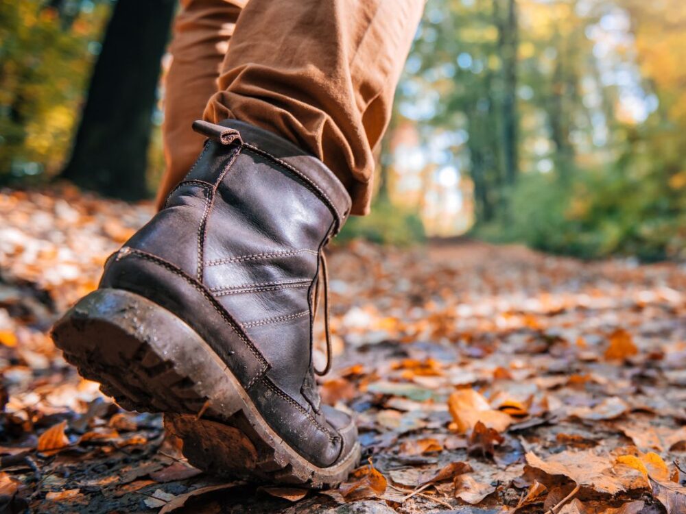 Ein Wanderschuh auf Herbstblättern.