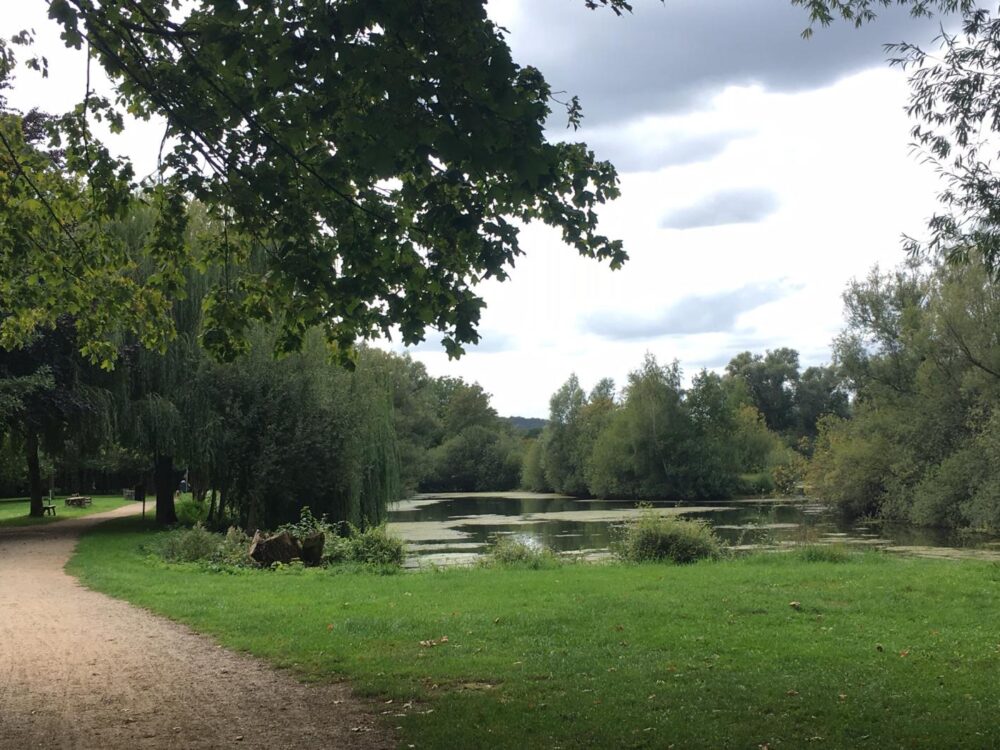 Grüner Park mit einem Teich, umgeben von Bäumen und einem geschwungenen Weg links im Bild unter bewölktem Himmel.