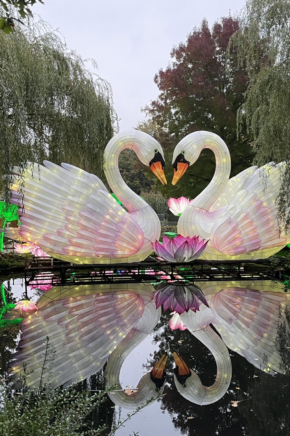 Zwei beleuchtete große Schwan-Skulpturen