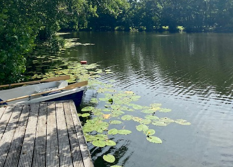 Steg mit zwei Booten am Ufer eines Sees, auf dem Wasser schwimmen Seerosenblätter, umgeben von Bäumen