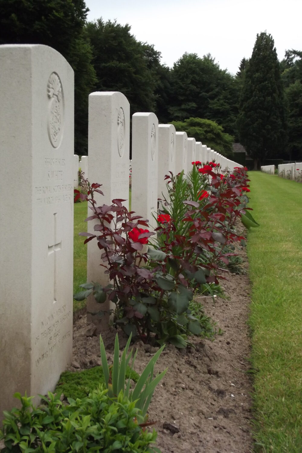 Weiße Grabsteine in einer Reihe, davon Blumenbepflanzung