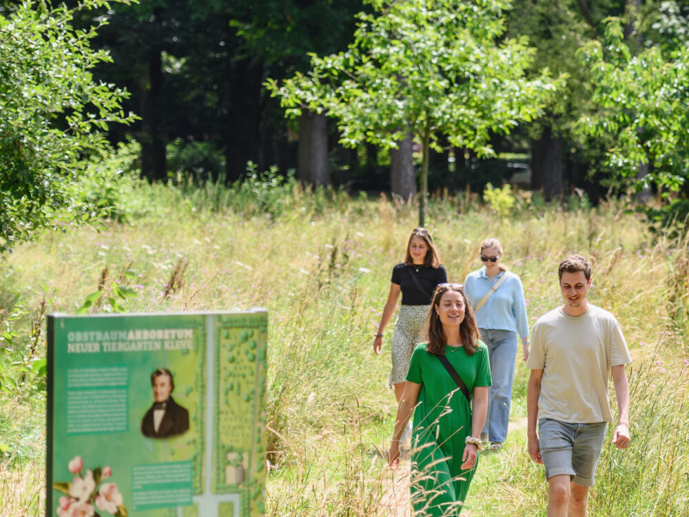 Junge Menschen laufen über grüne Wiese.