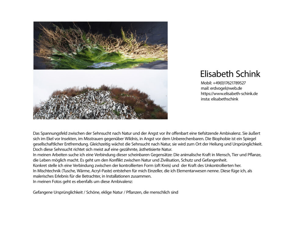 Elisabeth Schink