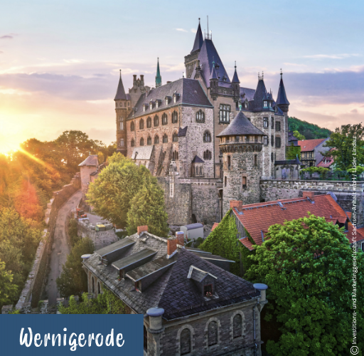 Blick auf das Schloss Wernigerode bei Sonnenuntergang mit umliegenden Gebäuden und Bäumen