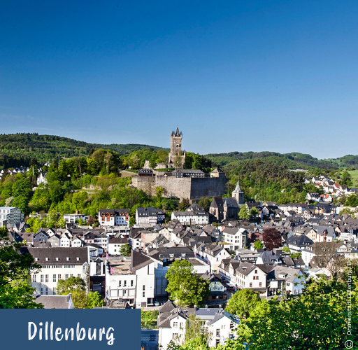 Blick auf die Stadt Dillenburg mit der Burg auf einem bewaldeten Hügel im Hintergrund und zahlreichen Häusern im Vordergrund
