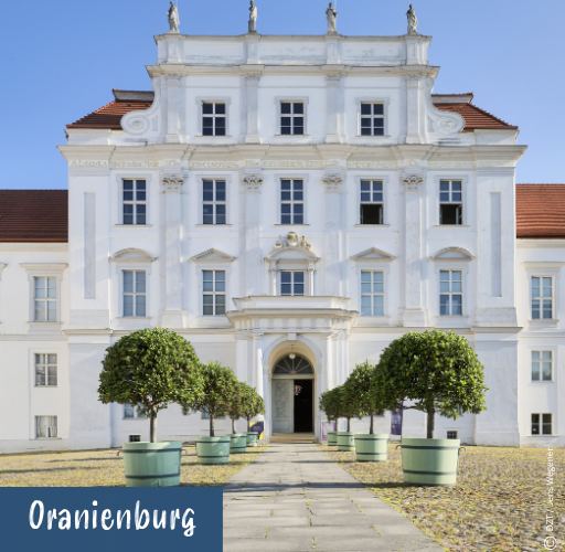 Barockes weißes Schloss mit symmetrischer Fensteranordnung und Baumreihen in großen Pflanzkübeln vor dem Eingang