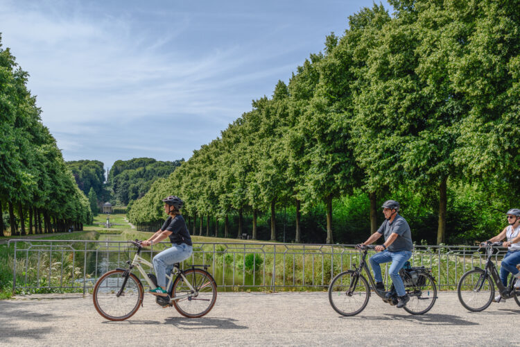 Drei Personen fahren auf einem breiten Weg mit Bäumen auf beiden Seiten Fahrrad