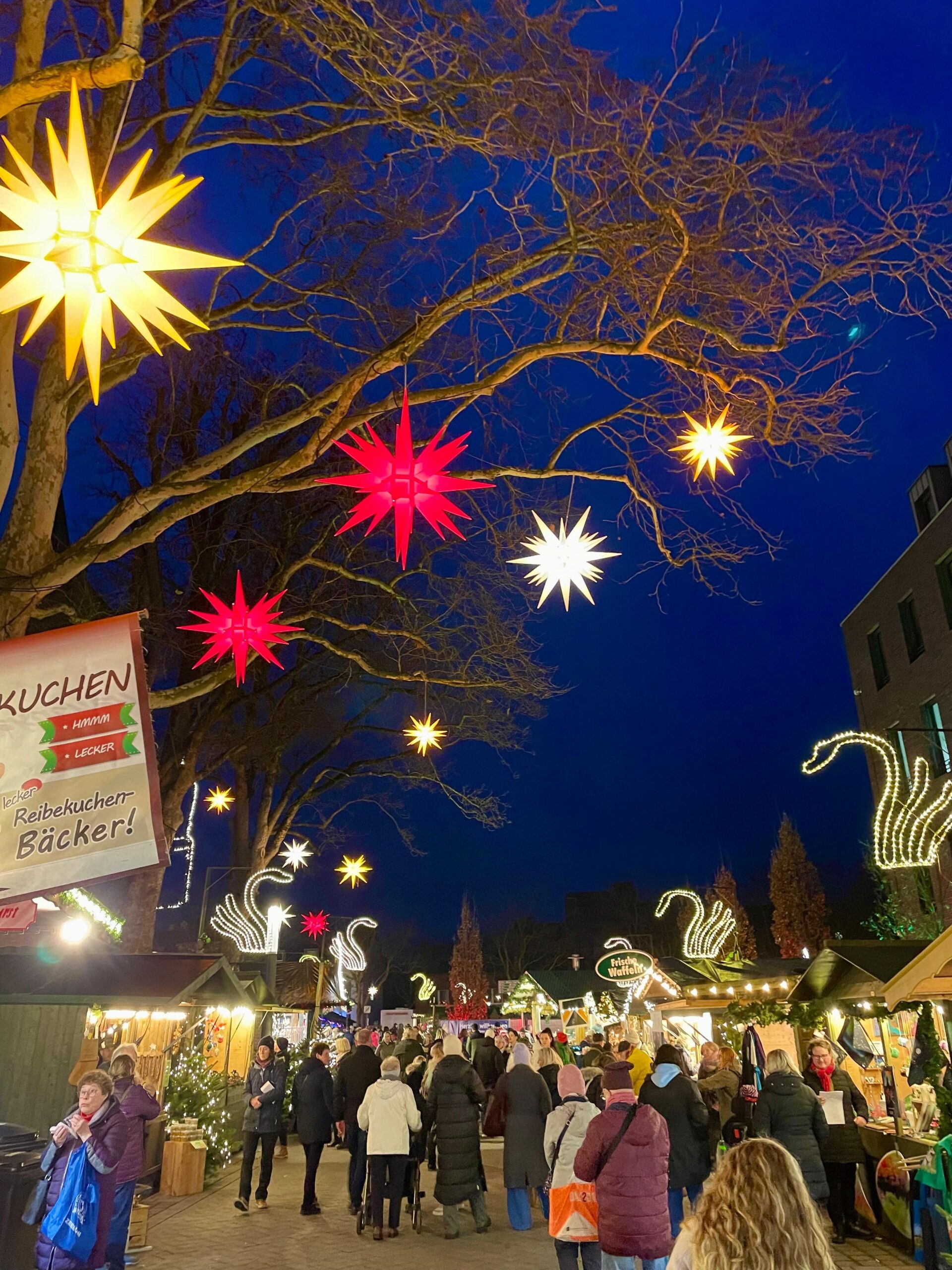 Mehrere leuchtende Weihnachtssterne in Gelb, Rot und Weiß hängen an kahlen Ästen über dem belebten Klever Weihnachtsmarkt mit Buden und Menschen bei Nacht