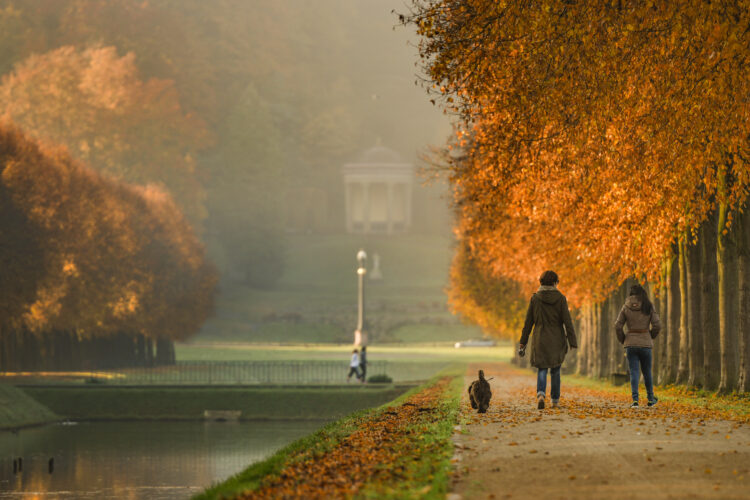 Zwei Frauen und ein Hund laufen durch die barocken Gartenanlagen. Die Bäume sind bunt gefärbt.